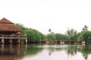 marang-01